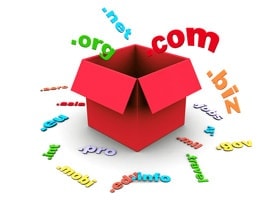 Domain Registration and website company in raipur chhattisgarh