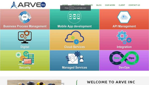 Arve Inc, website company design in raipur