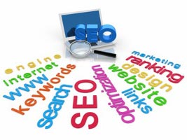 Search Engine Optimization (SEO) service in raipur chhattisgarh india