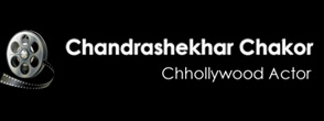 Chandrasekhar Chakor | Website Designing Company in Raipur