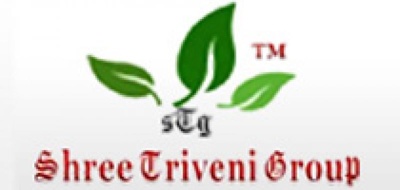 Shree Triveni Enterprises | Graphic Designing Company in Chhattisgarh