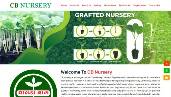 CB Nursery, Web Designing Company in Raipur Chhattisgarh